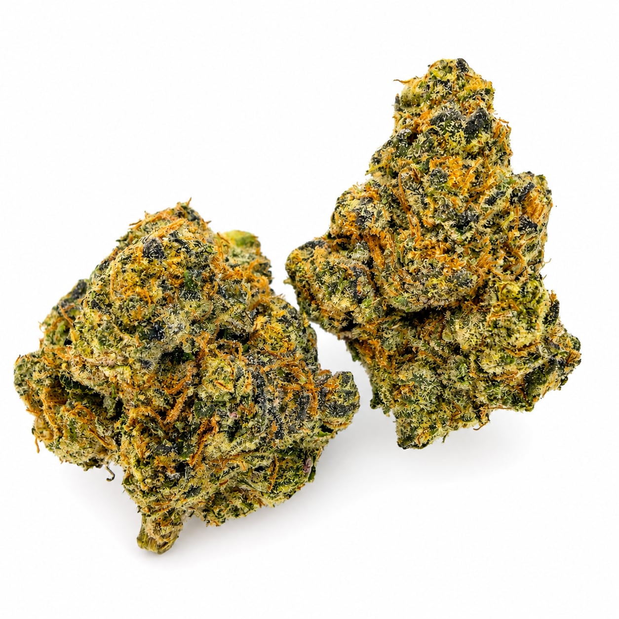 Dank Sinatra — view 2